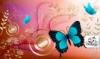 nounou.butterfly