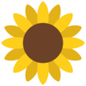 Cliquez sur l'image pour l'afficher en taille normale

Nom : tournesol.png 
Affichages : 129 
Taille : 33,4 Ko 
ID : 2058013